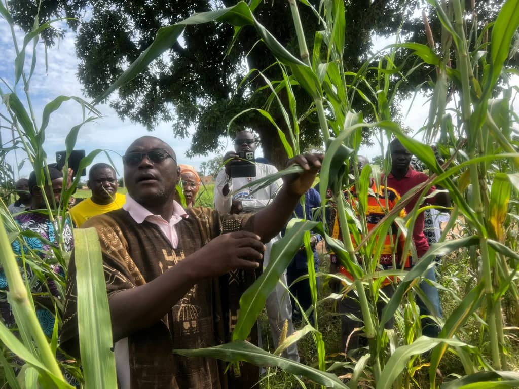 LE RÉSEAU WASSA MALI RELANCE LE DEBAT SUR LA TRANSITION AGROÉCOLOGIQUE PAYSANNE AU MALI.