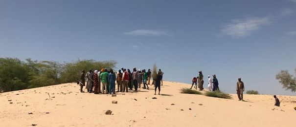 QUAND LA FIXATION DE DUNES RALENTIT L’AVANCÉE DU DÉSERT A BINTAGOUNGOU DANS LA REGION DE TOMBOUCTOU.