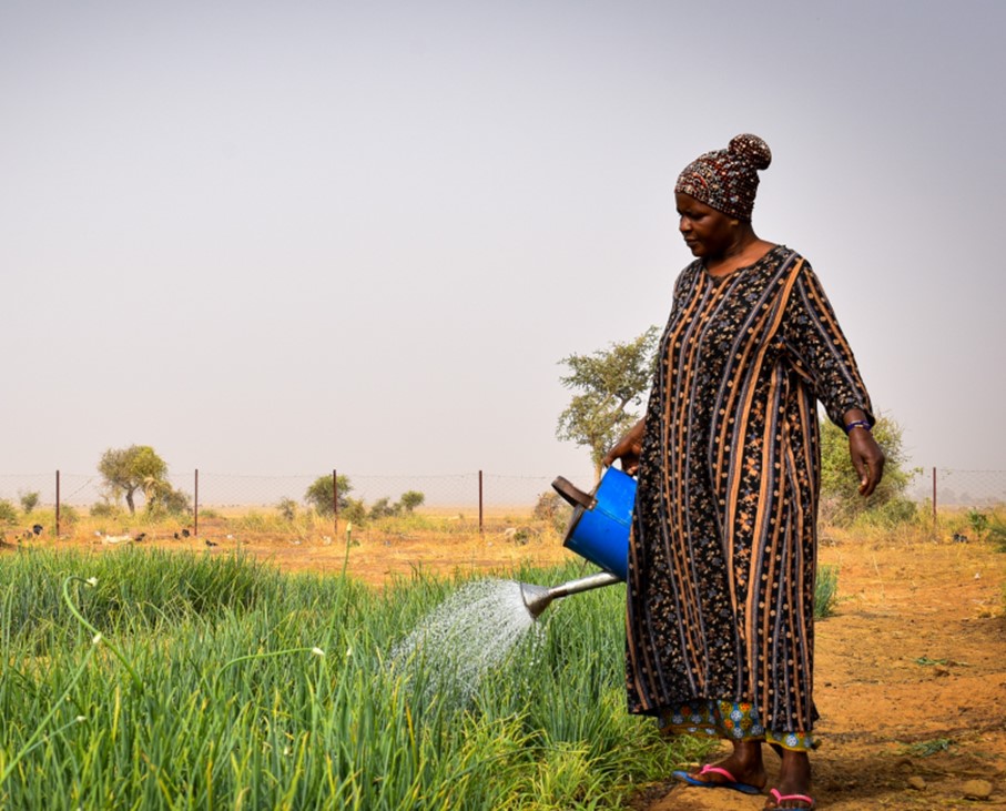 CLUSTER SÉCURITÉ ALIMENTAIRE AU MALI : MIEUX COORDONNER LES RÉPONSES EFFICACES ET INCLUSIVES.